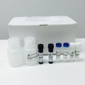 Total mTOR Cell-Based Colorimetric ELISA Kit